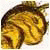 Lietotāja avatars