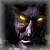 Lietotāja avatars