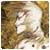 Lietotāja avatars
