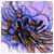 Lietotāja avatars